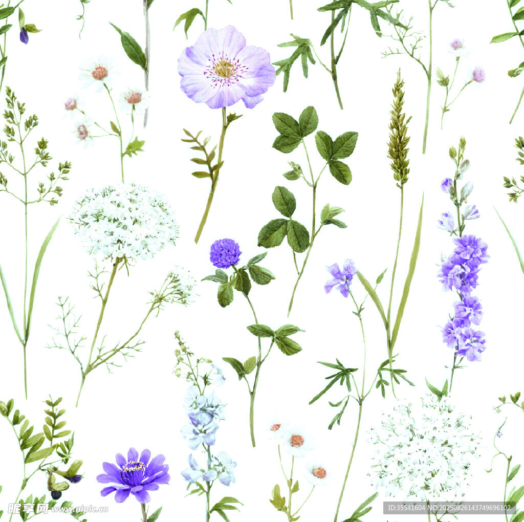 效果花朵