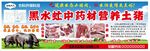 养殖土猪招牌海报