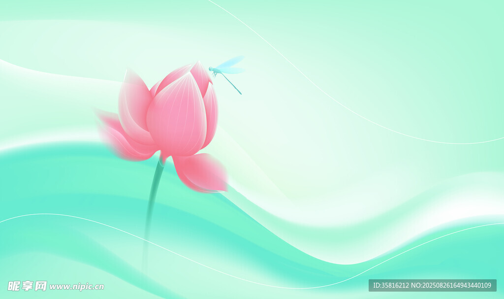 荷花背景