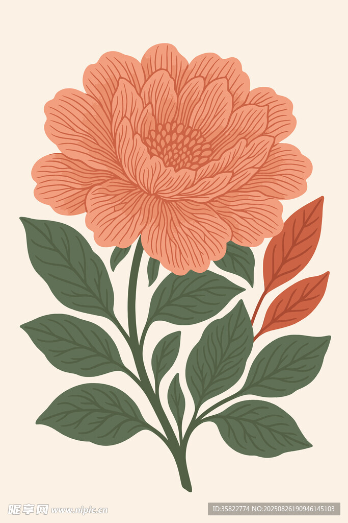 手绘粉色花卉插画