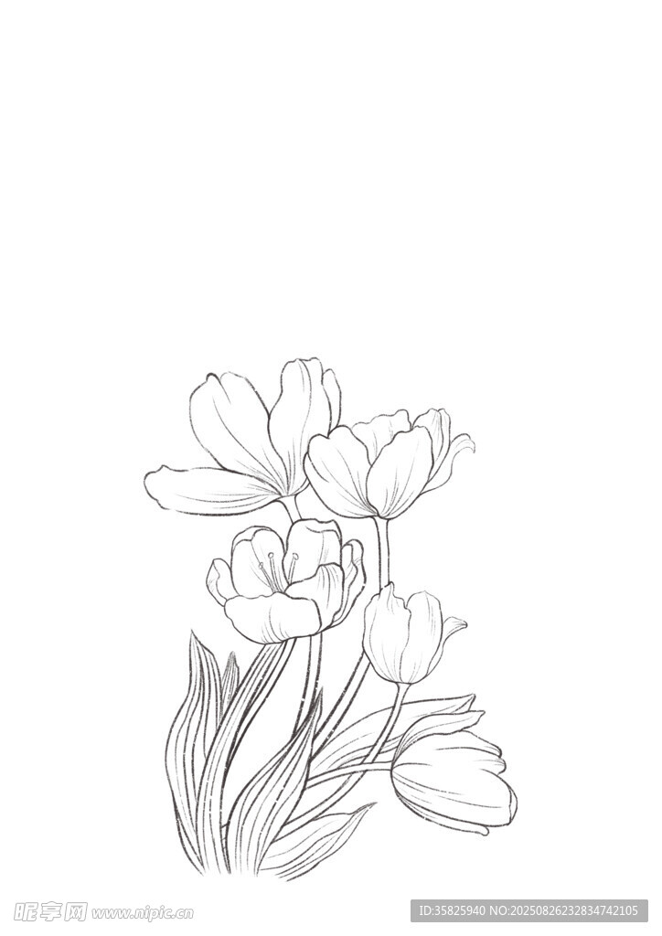 手绘花卉线条图