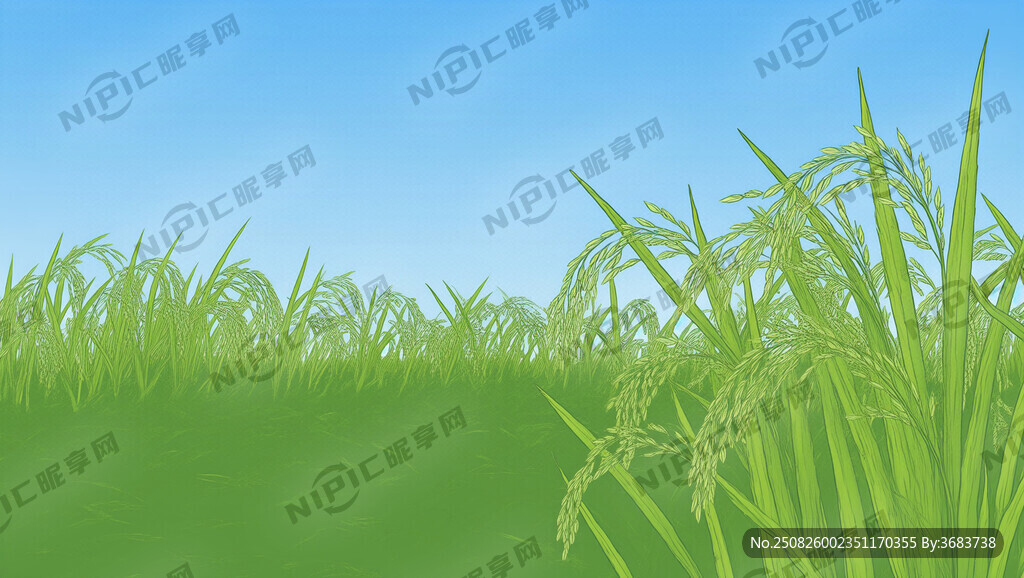 水稻线描插画可以作为背景图使用