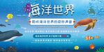 海洋世界奇妙生物探索之旅
