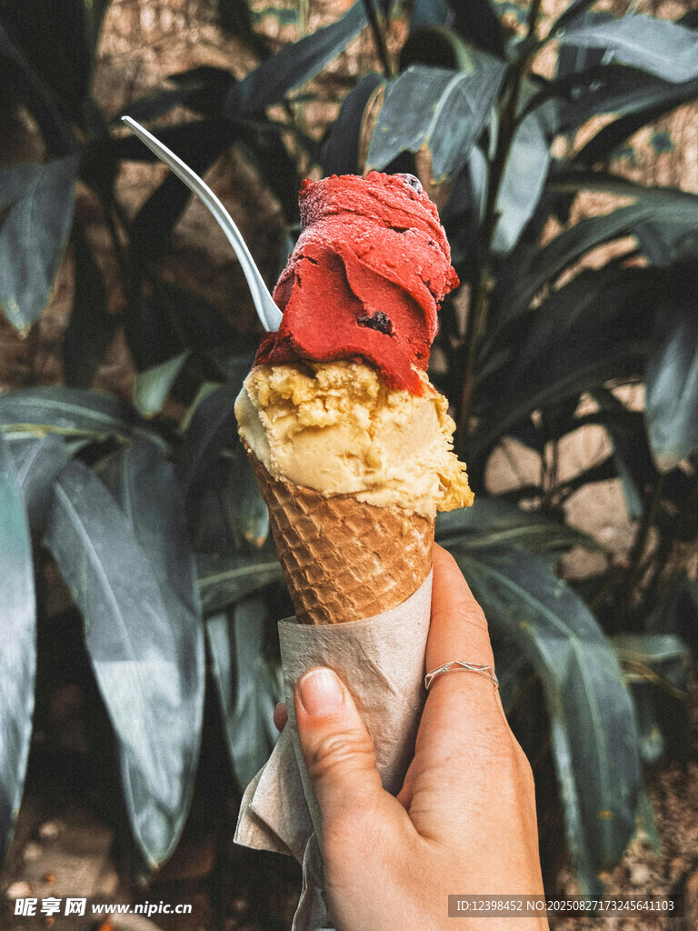 手持美味双色冰淇淋
