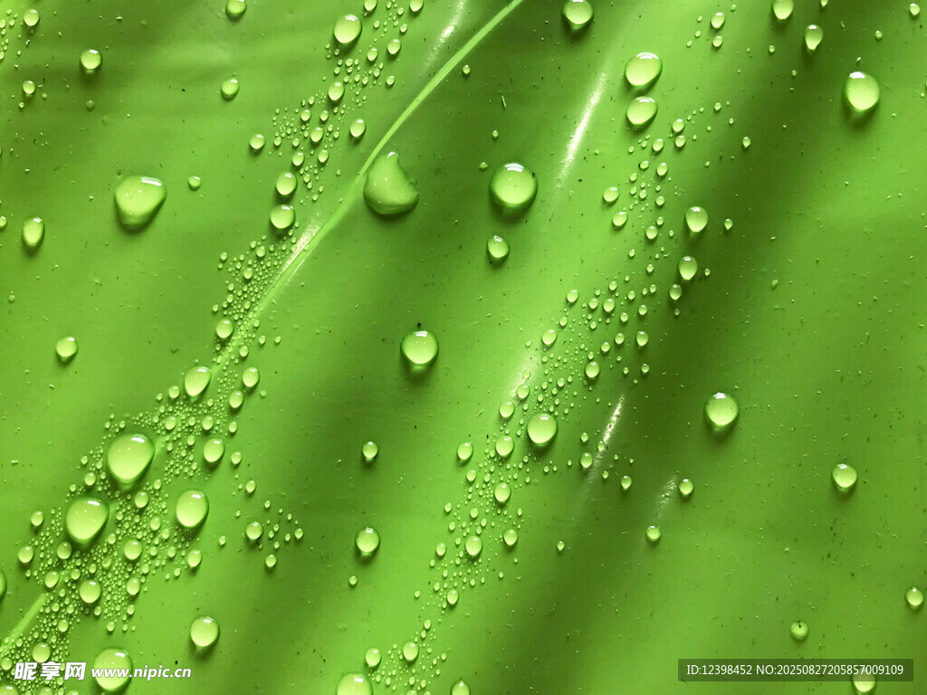 绿叶上晶莹的水珠