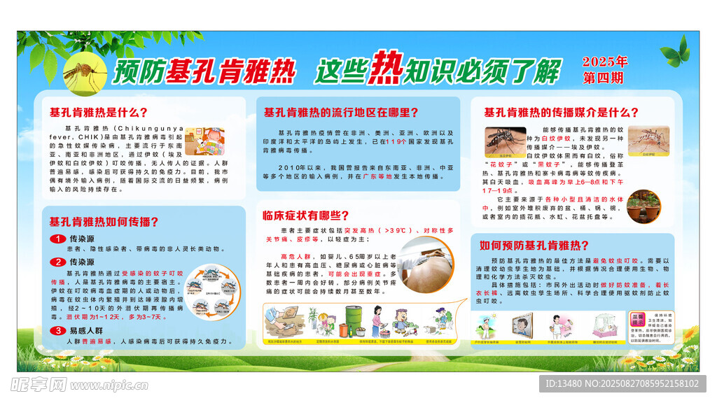 预防基孔肯雅热 这些热知识必须