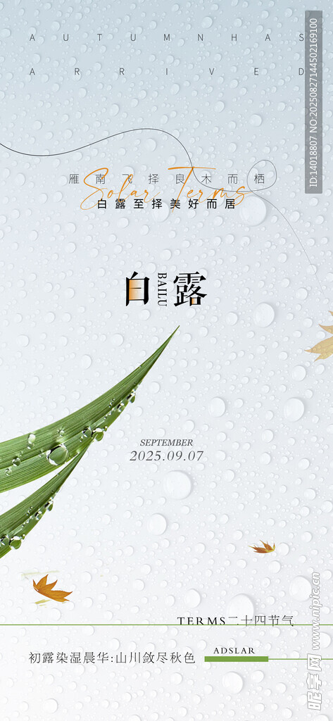 白露海报