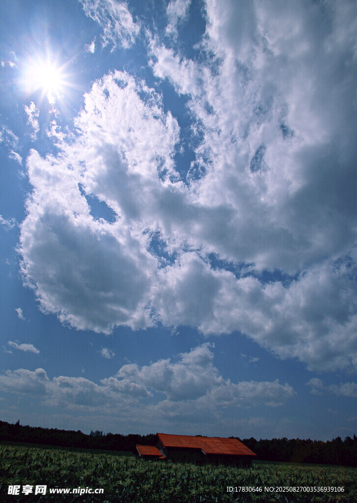 田野上的阳光与白云