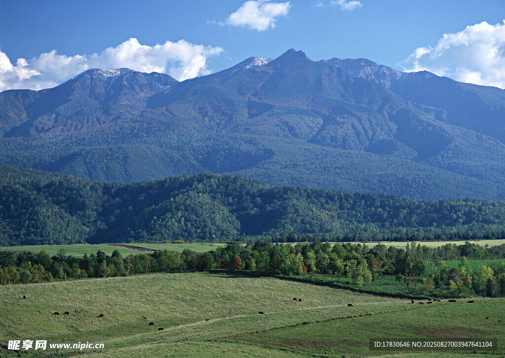 广袤草原与远处山峦美景
