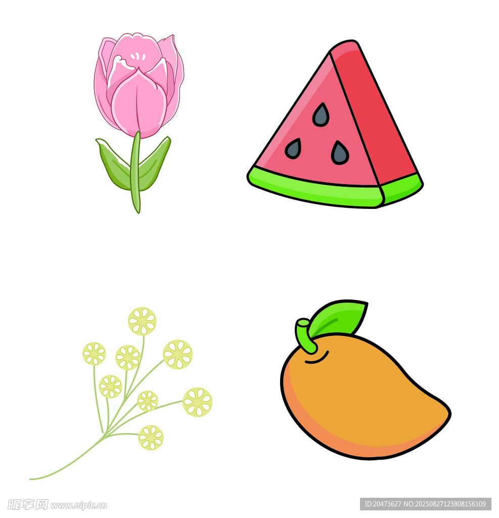 花卉与水果插画组合