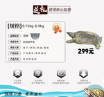 阳澄湖甲鱼促销海报