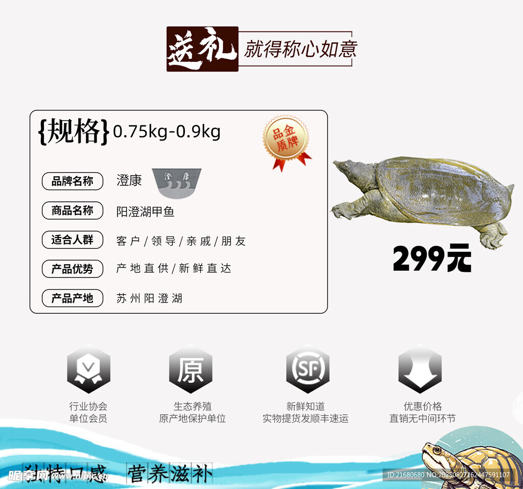 阳澄湖甲鱼促销海报