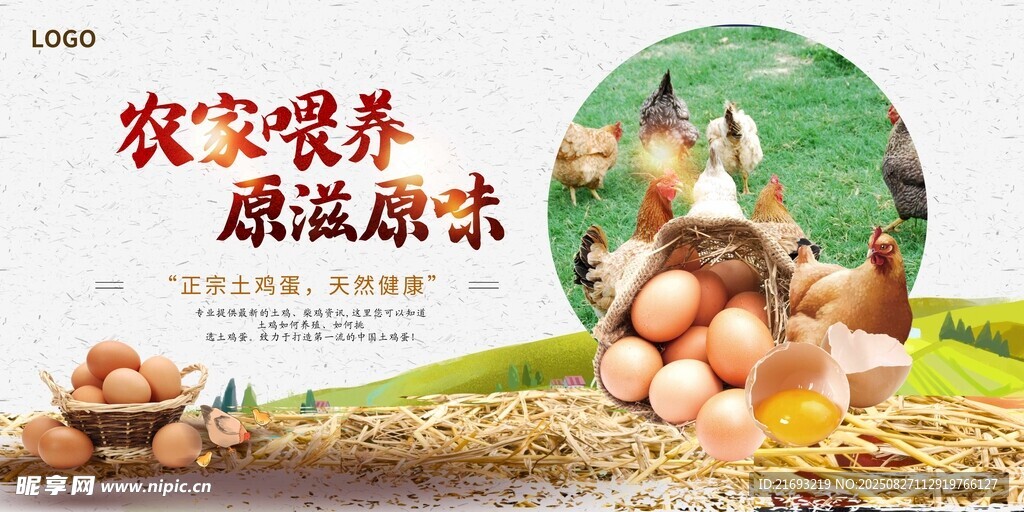  散养土鸡 