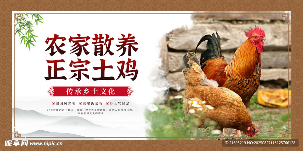  散养土鸡 