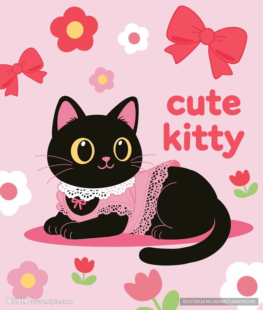穿蕾丝花边衣服的黑色猫咪