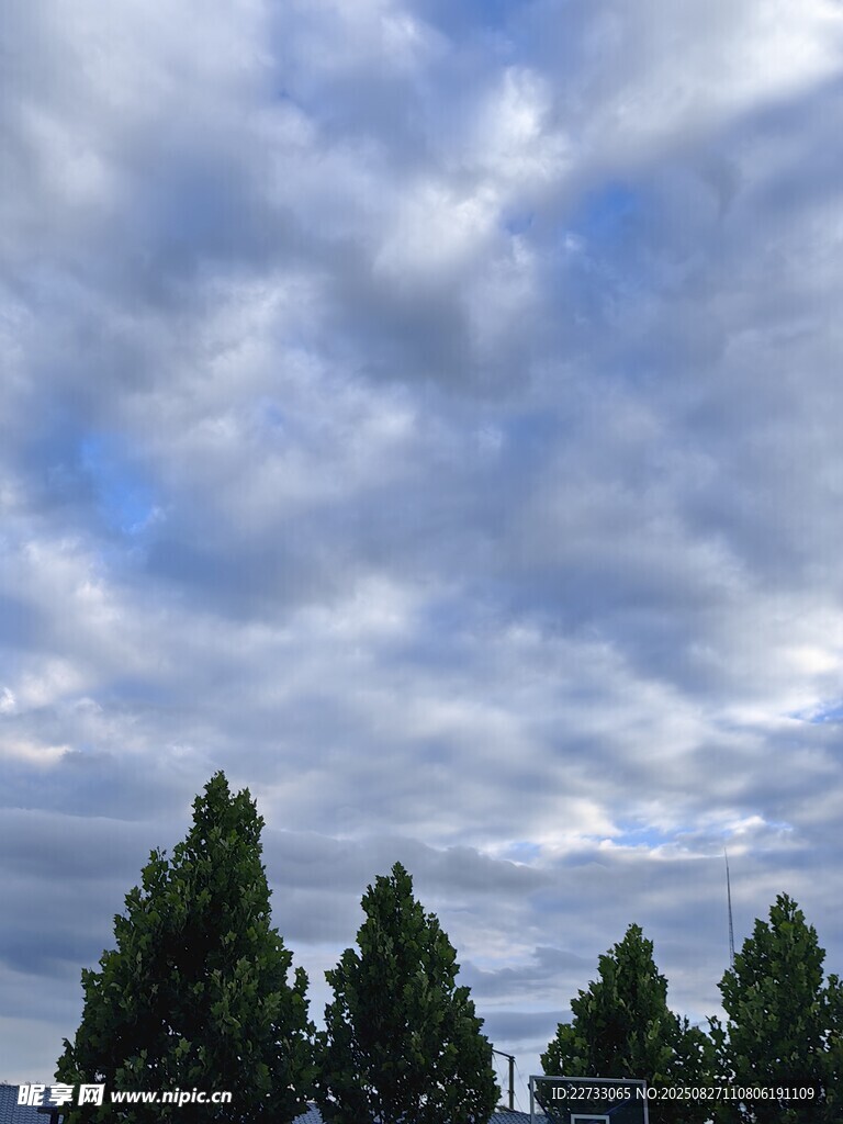 蓝天白云葱郁树木