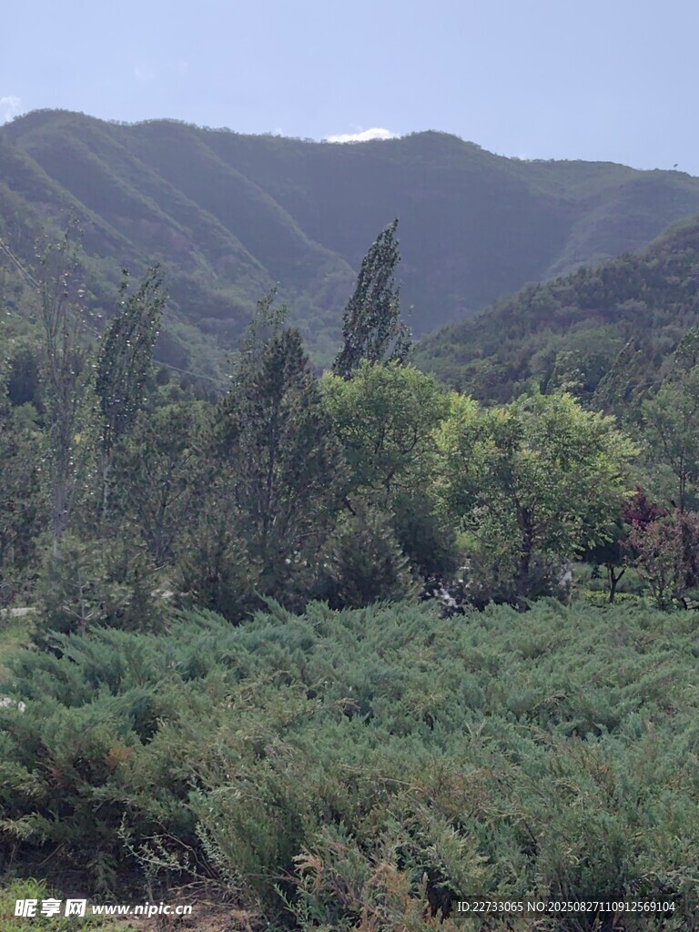 山林绿野