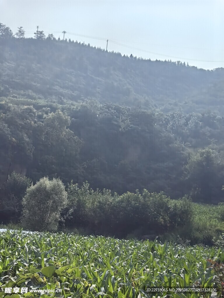田野山林自然风光