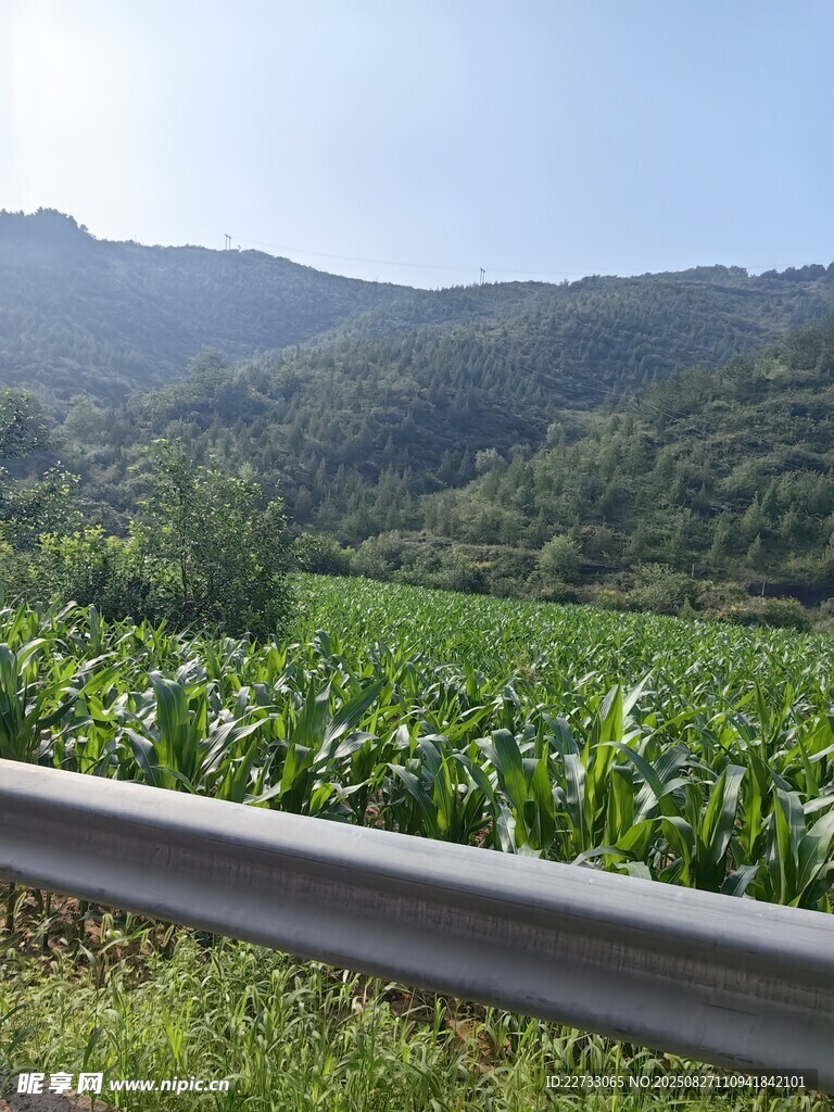 公路田野风光