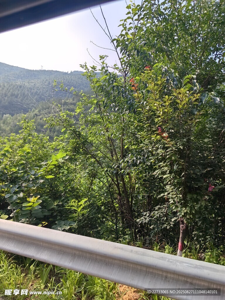 山林风光