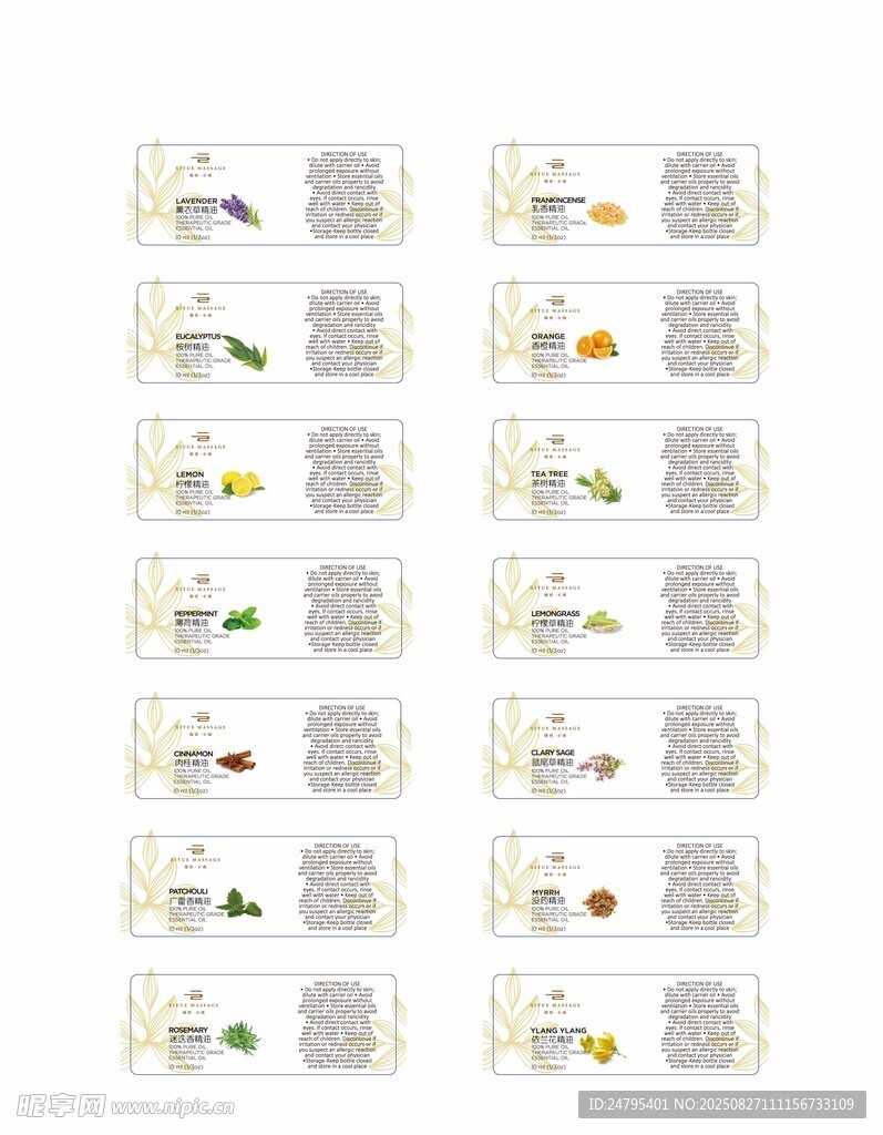 多样美食便当设计模板
