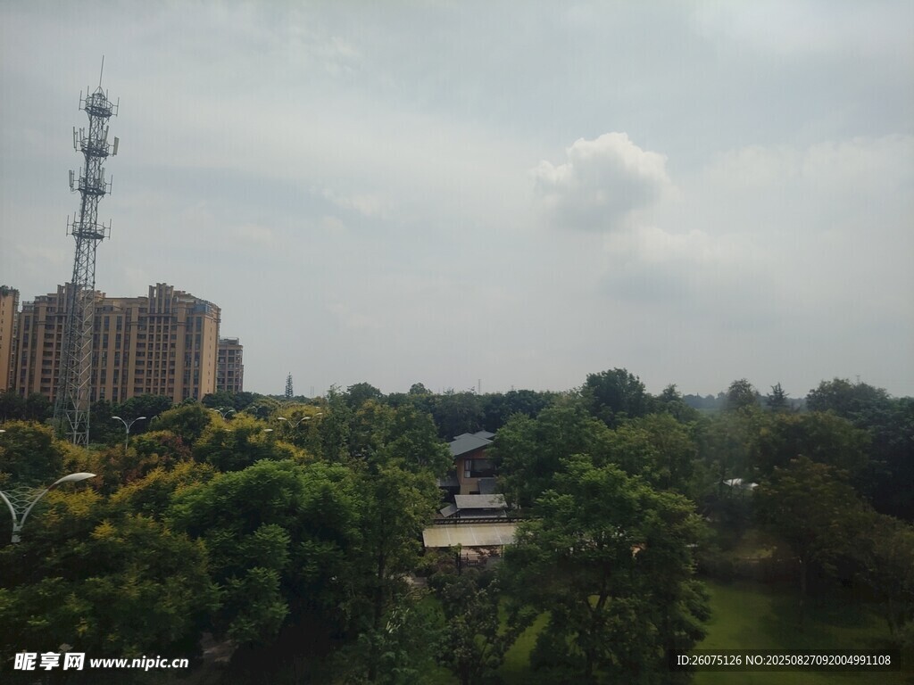 城郊风景绿树与建筑相映