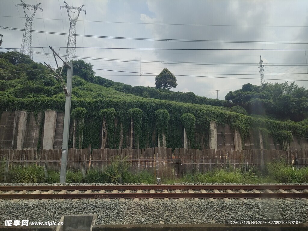 铁路轨道与绿植景观
