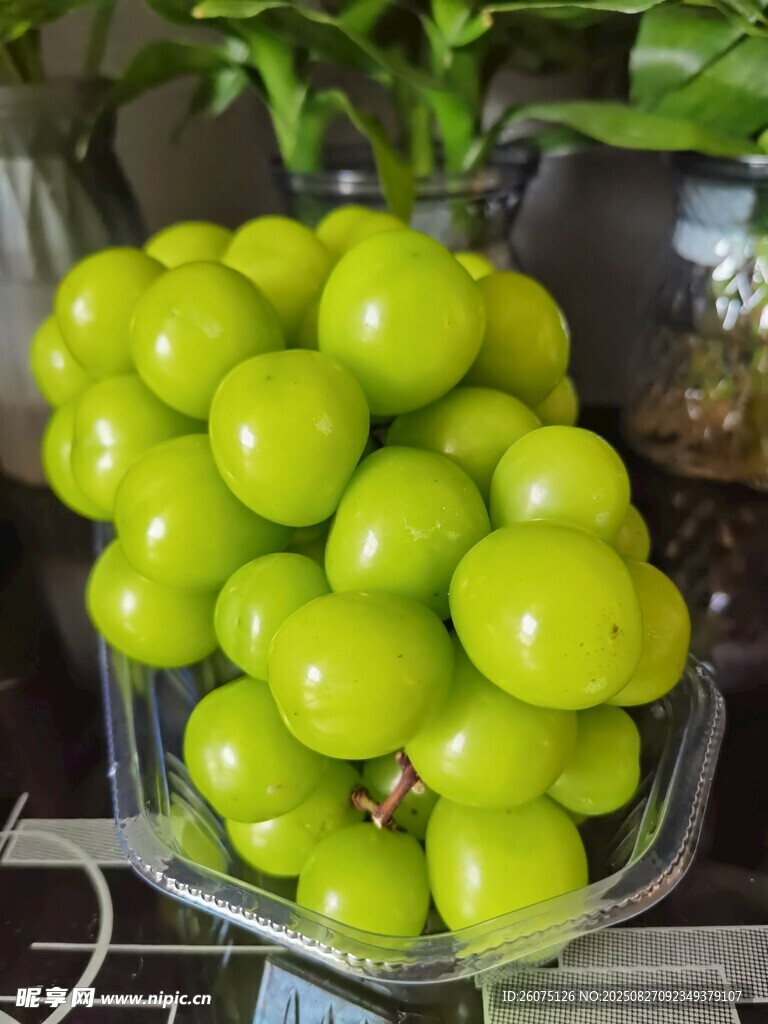 晶莹青提清新诱人