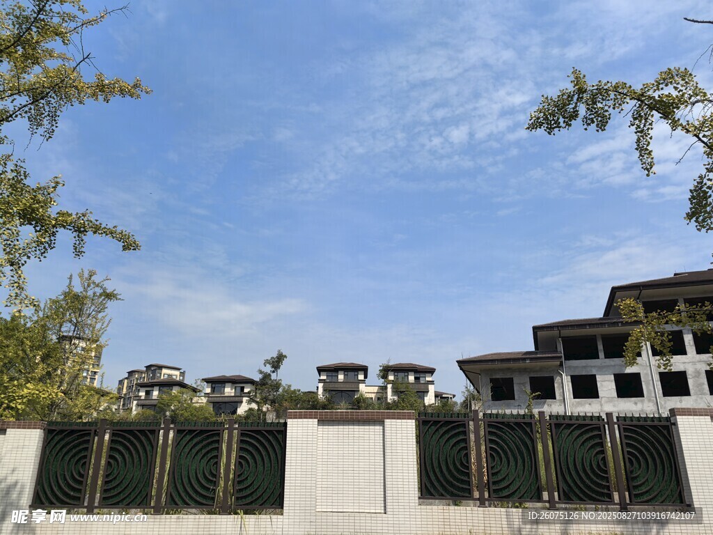 现代建筑旁的绿树蓝天