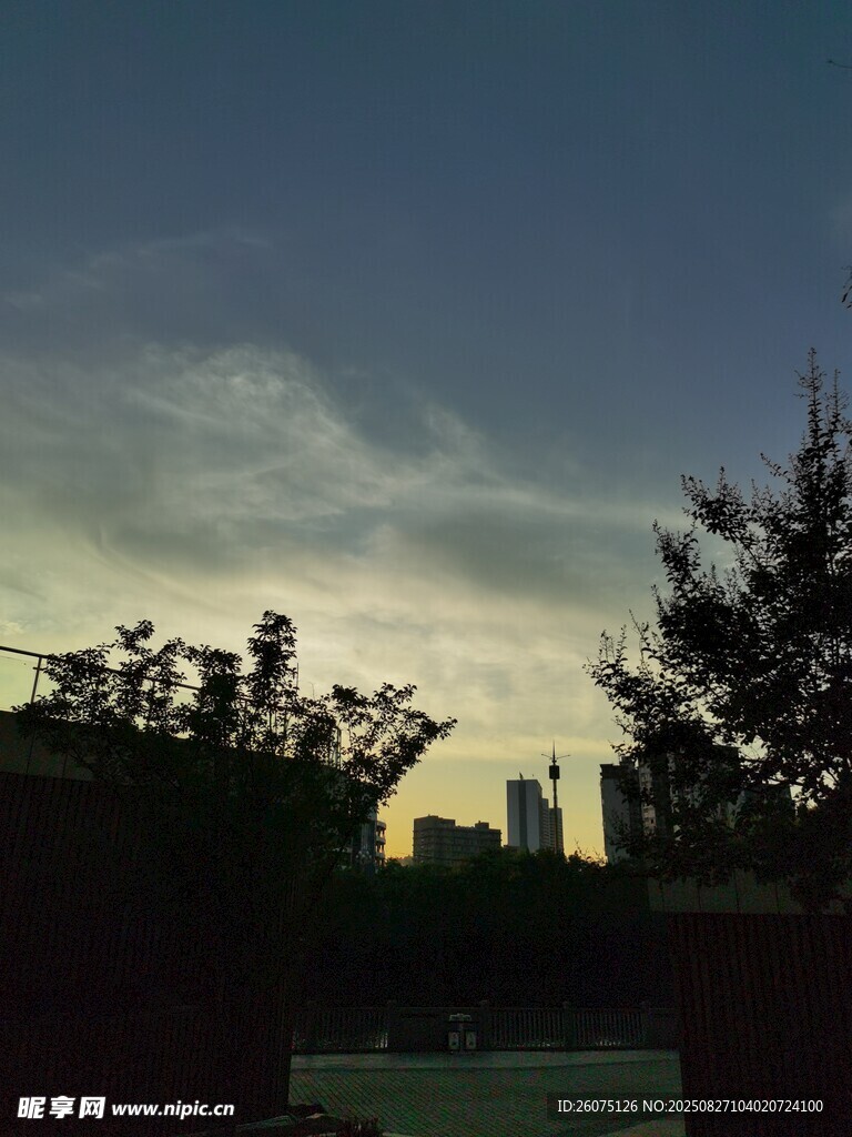 黄昏下的城市与树木剪影