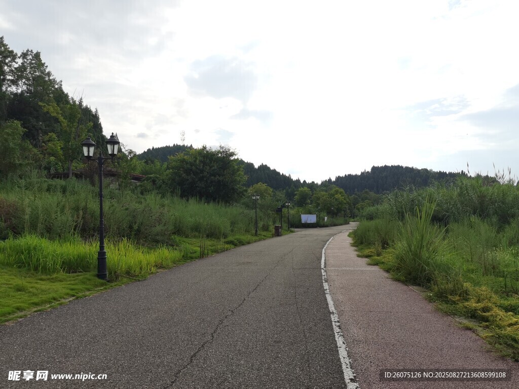 乡间公路风景