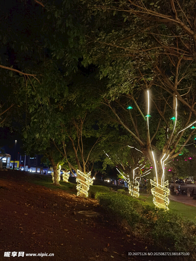 夜晚公园树木的璀璨灯光