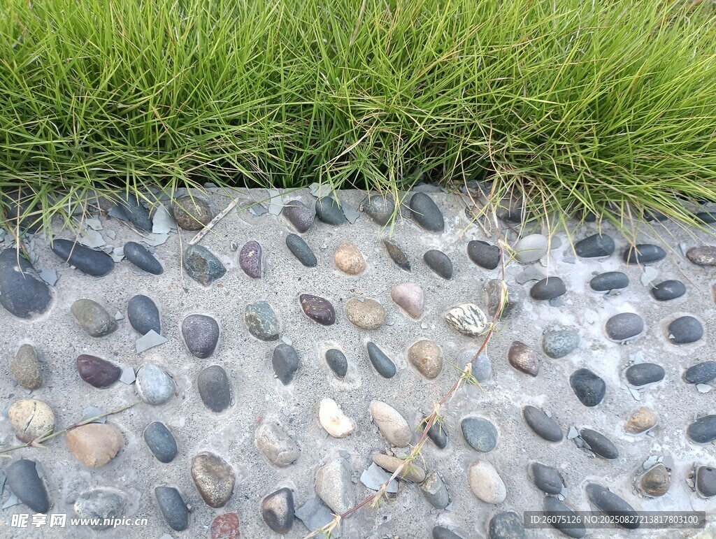 鹅卵石小径旁的翠绿草坪