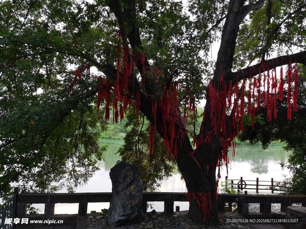 河畔祈福树挂满许愿红绸带