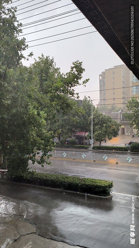 雨中城市街道景观