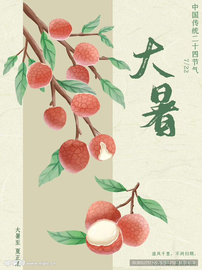 大暑时节的蜜桃插画