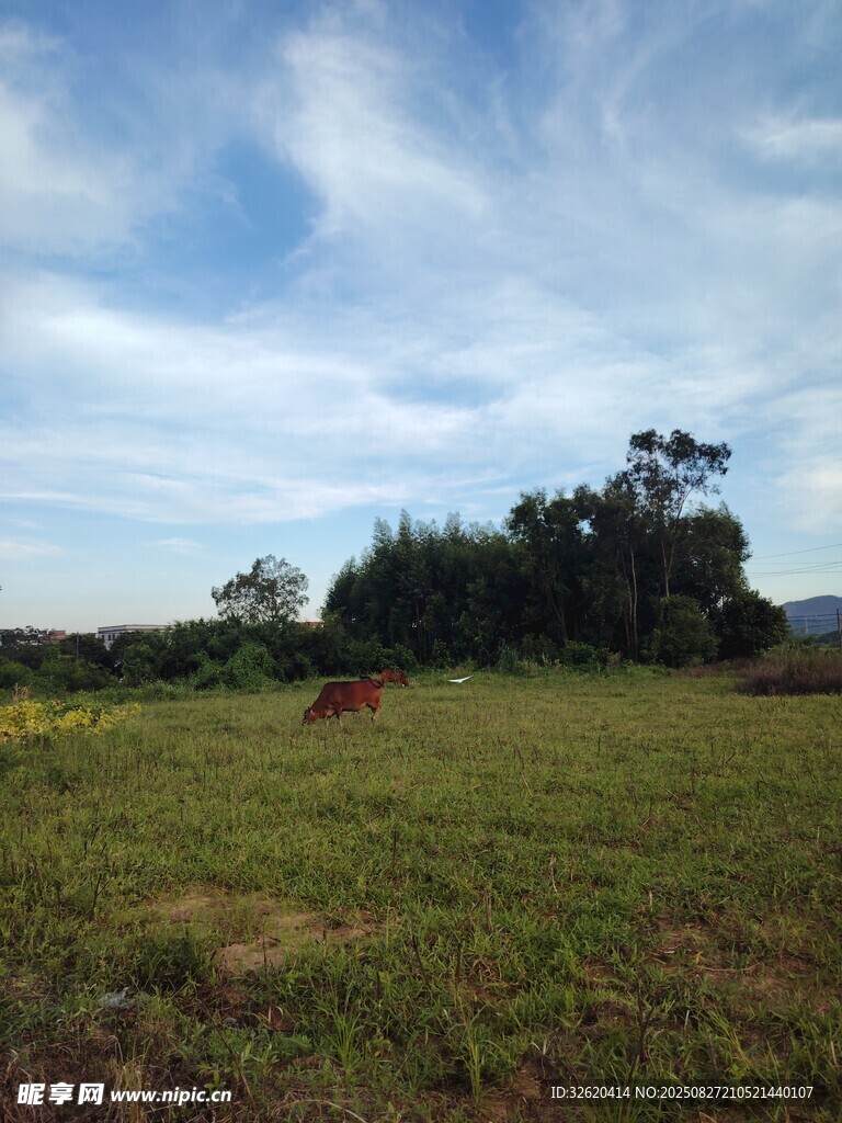 草原风光