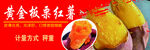 黄金板栗红薯