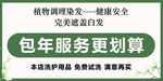  染发