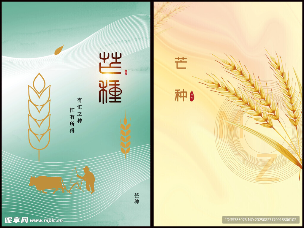 芒种海报