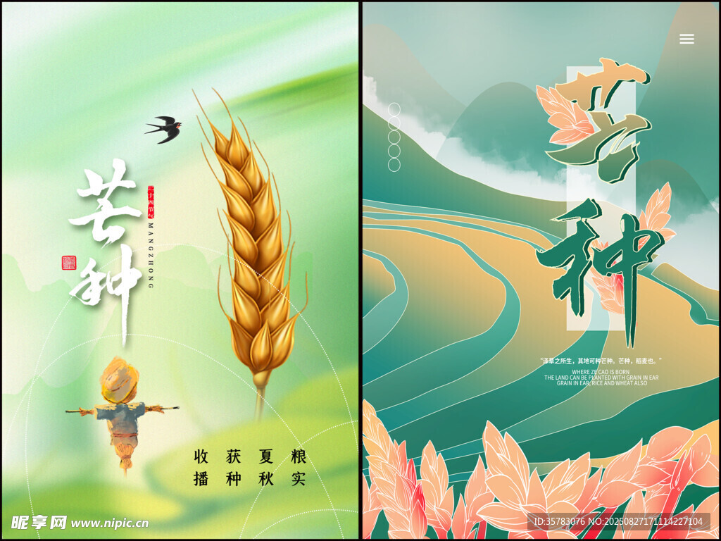 芒种海报