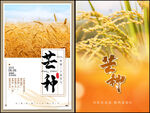 芒种海报