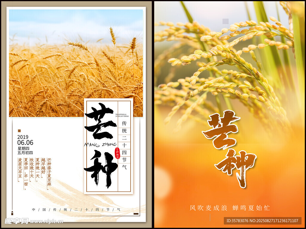 芒种海报