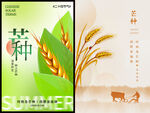 芒种海报