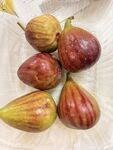新鲜无花果果实特写
