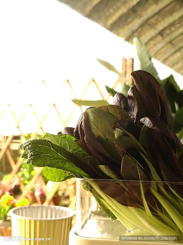 新鲜蔬菜摆放在摊位上