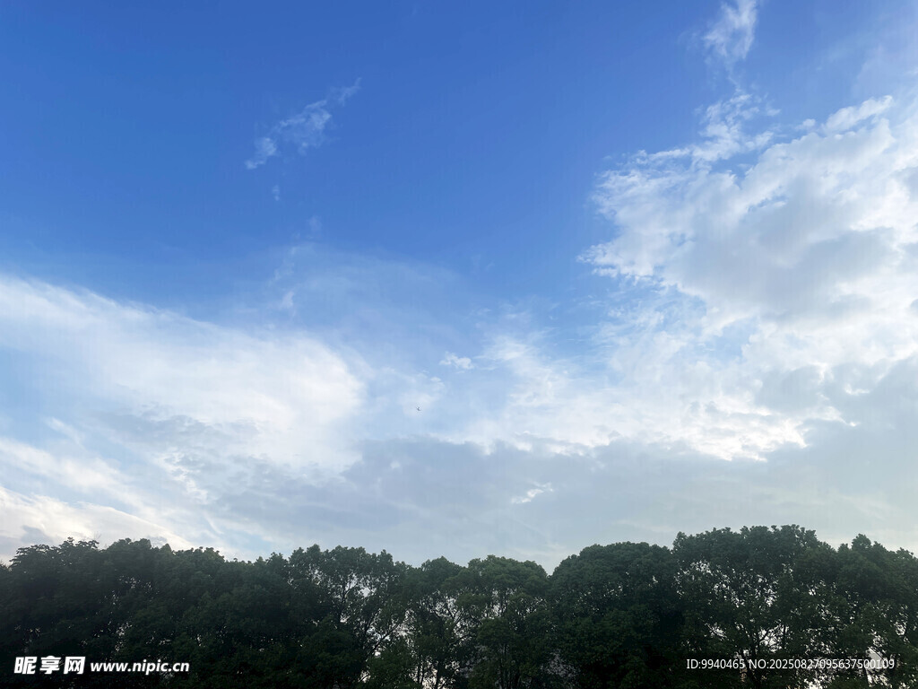 蓝天绿树间的清新景致