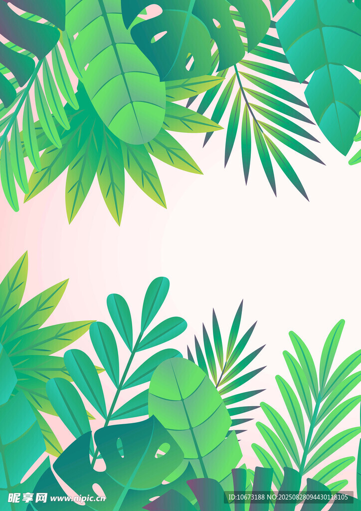 热带绿植边框背景图