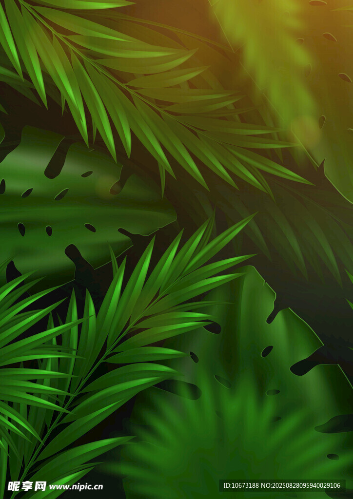 热带绿植景观