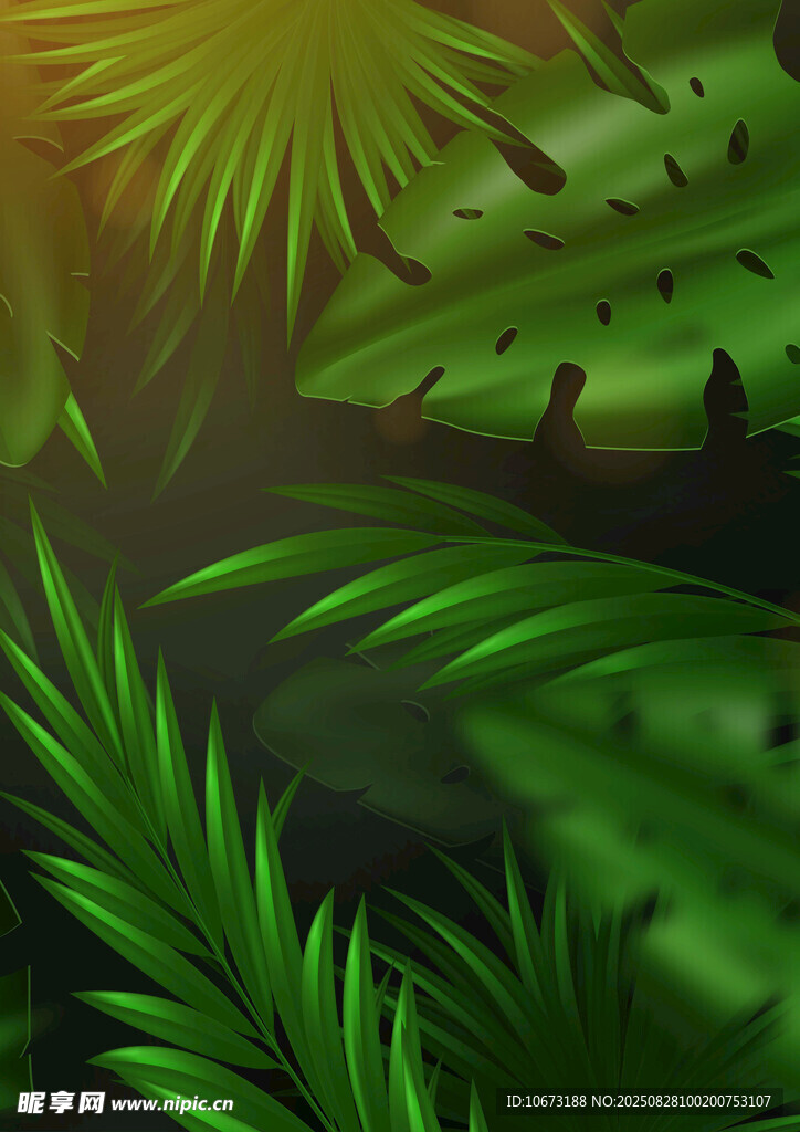热带绿植叶片特写